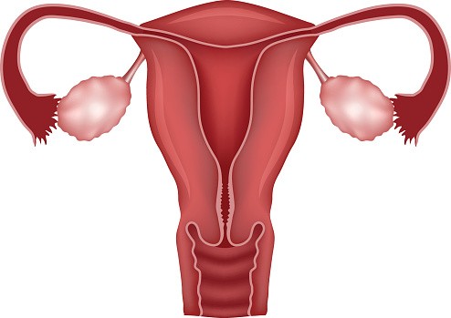 Gynae & Obs.
